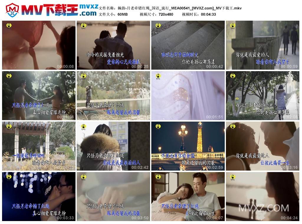 婉韵-月老牵错红绳_国语_流行_MEA00541